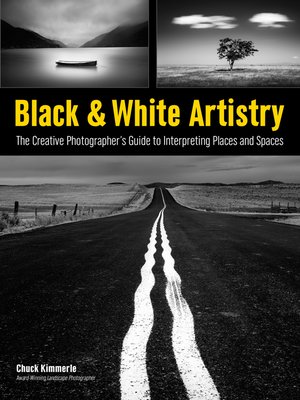 cover image of Black & White Artistry